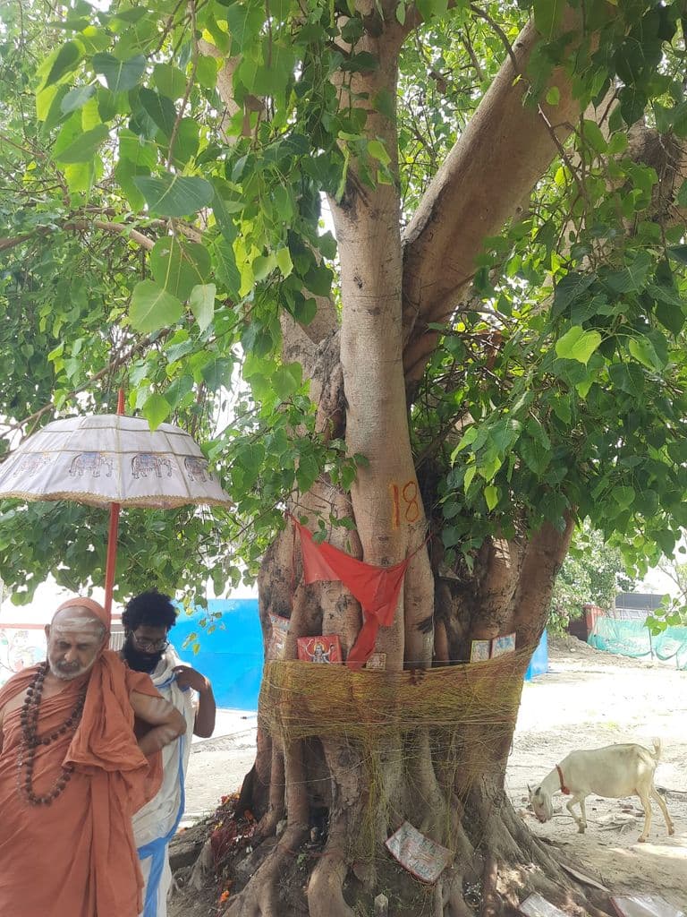 sitamarhi_janaki_janmasthali_mandir_9.jpg