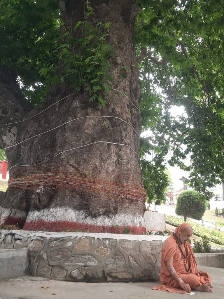 srinagar_pandrethan_mahadev_mandir_9.jpg