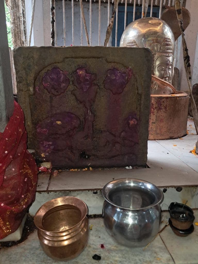 sukral_mata_2.jpg
