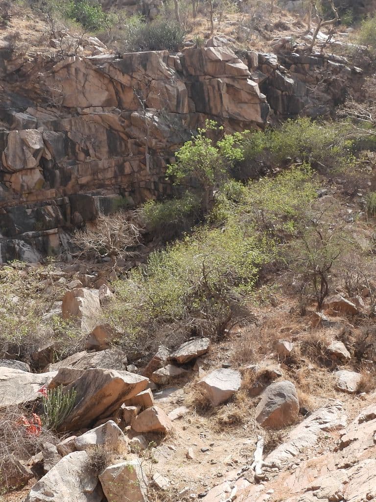 sundha_parvat_chamunda_mata_mandir_2.jpg