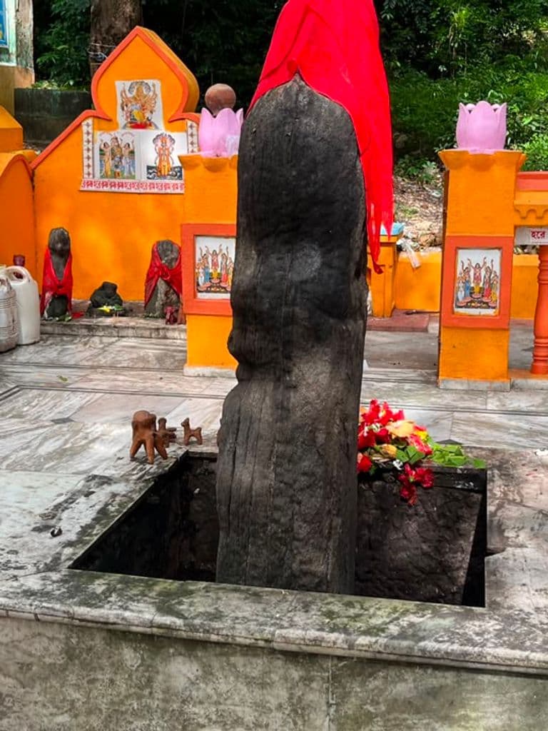 susunia_kali_nrusimha_mandir_11.jpg