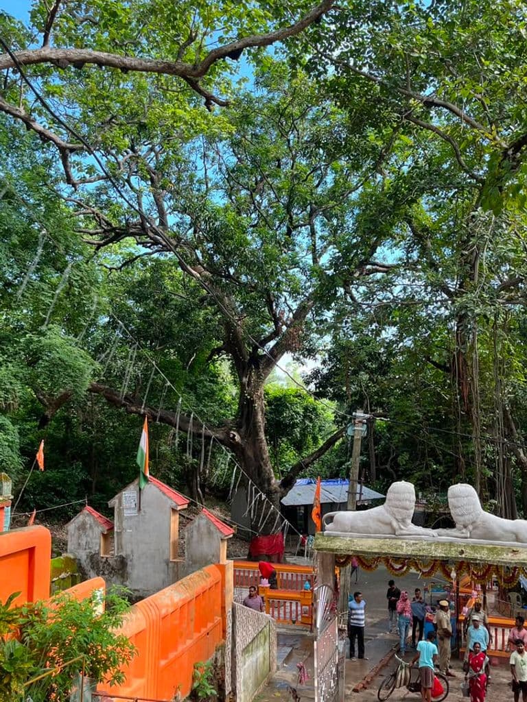 susunia_kali_nrusimha_mandir_15.jpg