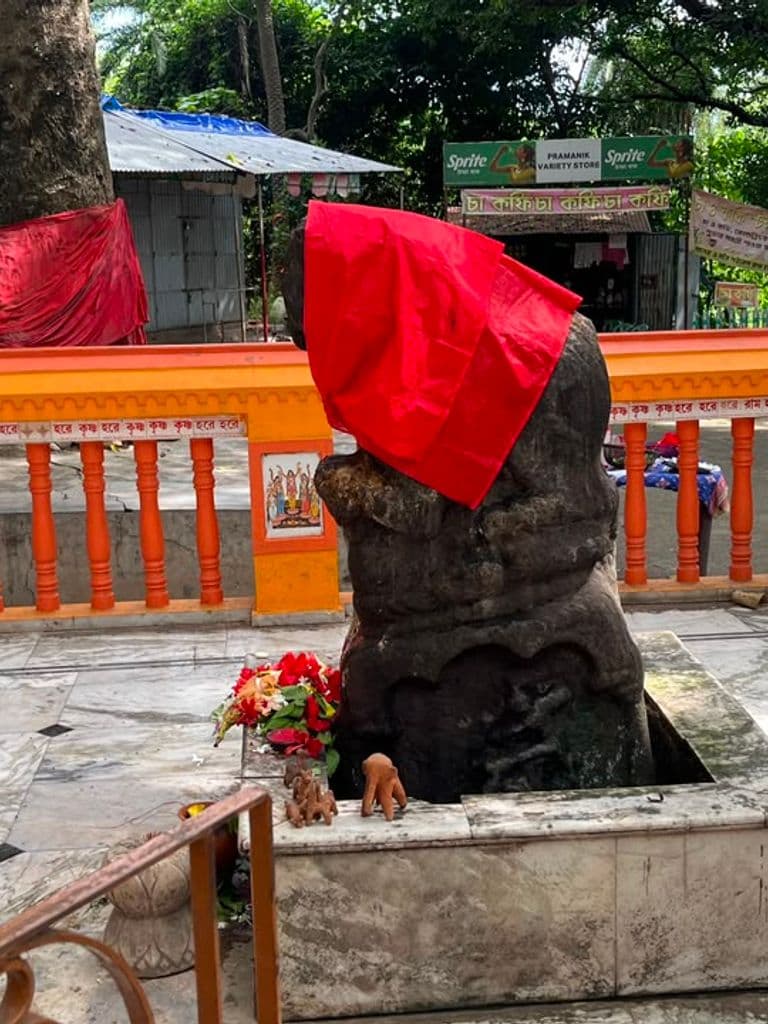 susunia_kali_nrusimha_mandir_20.jpg