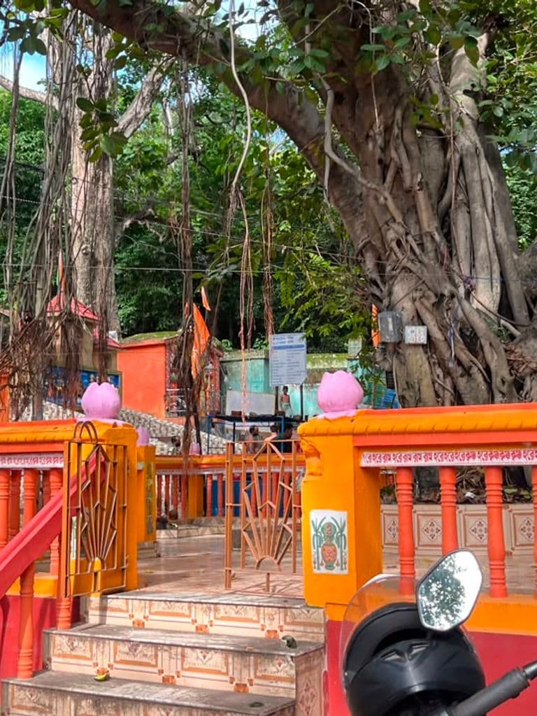 susunia_kali_nrusimha_mandir_7.jpg