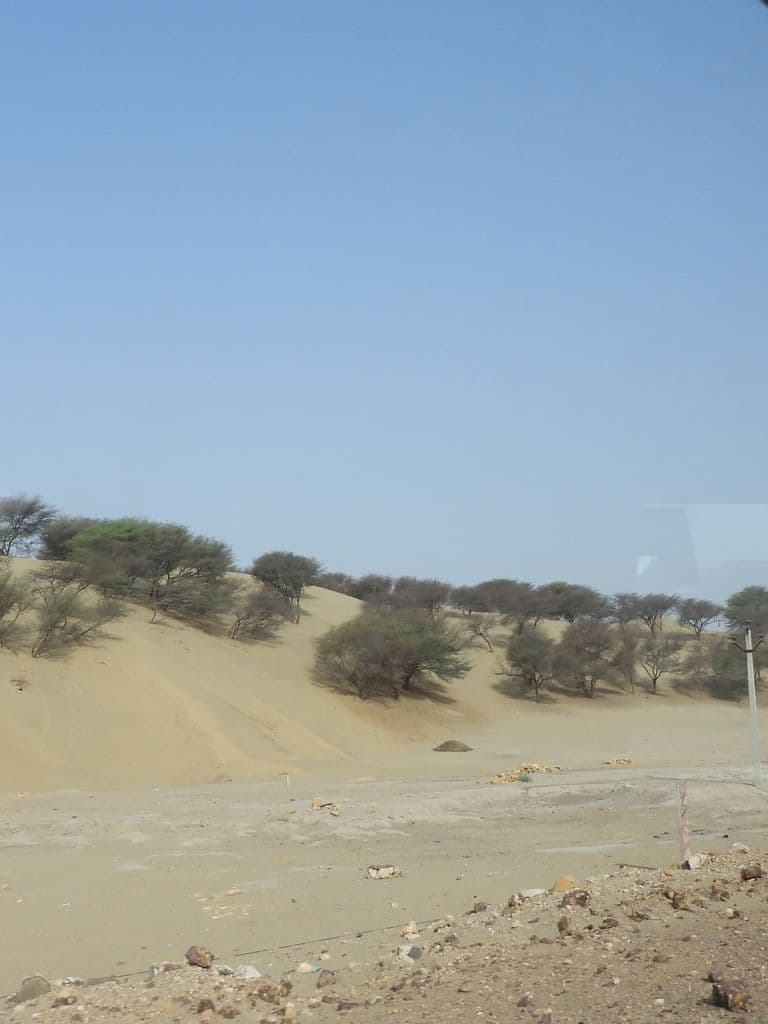 tanot_mata_mandir_1.jpg