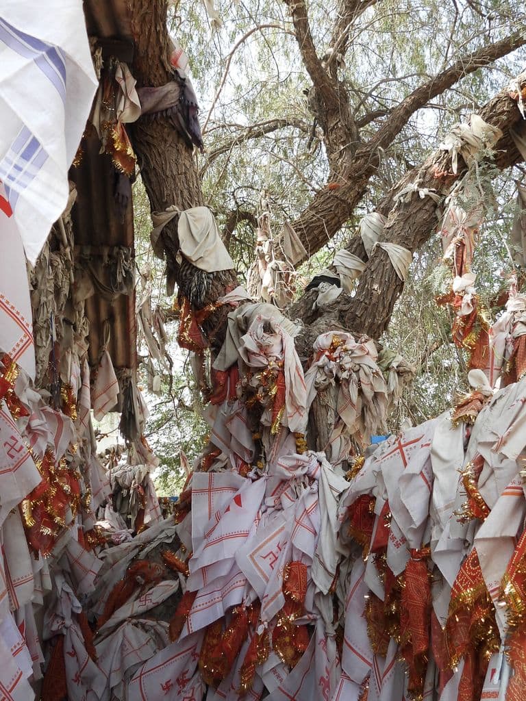 tanot_mata_mandir_16.jpg