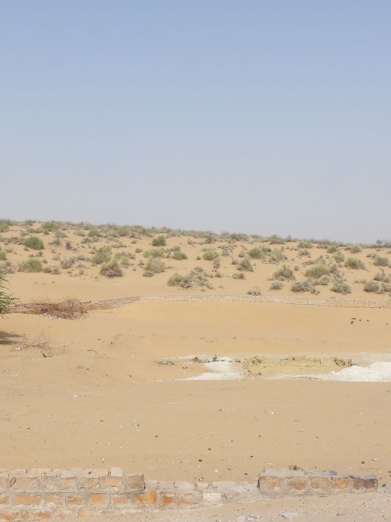 tanot_mata_mandir_19.jpg