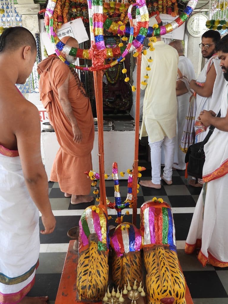 udaipur_nimach_mata_mandir_13.jpg