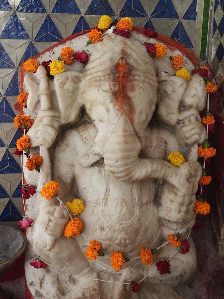 udaipur_nimach_mata_mandir_14.jpg