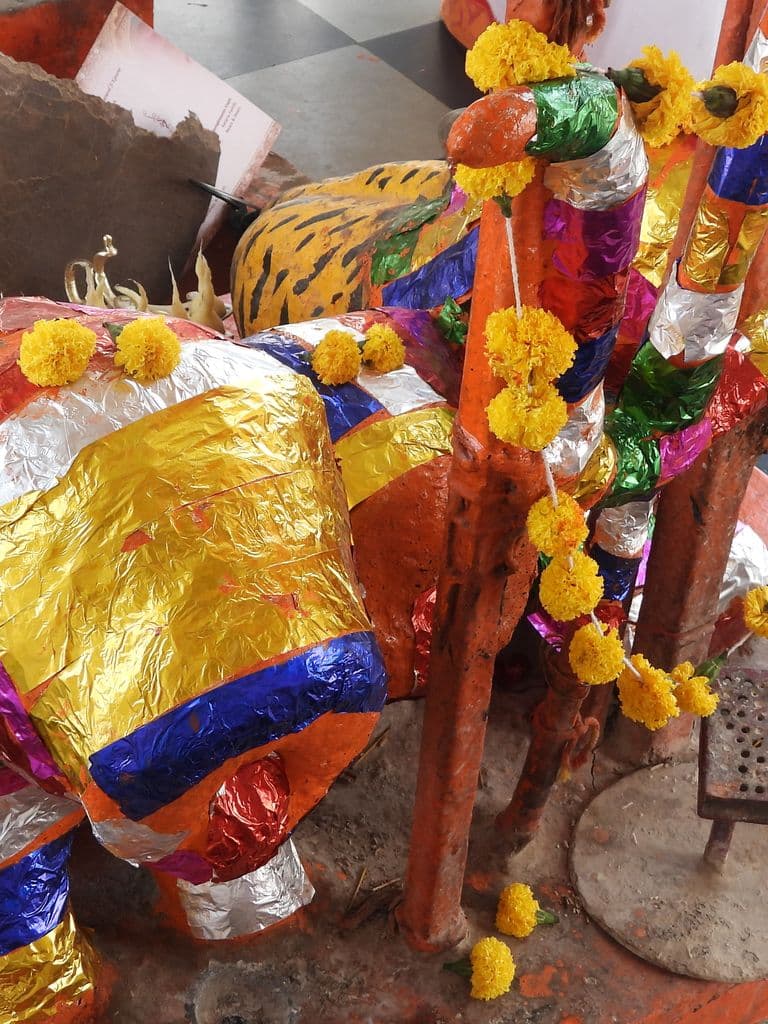 udaipur_nimach_mata_mandir_9.jpg