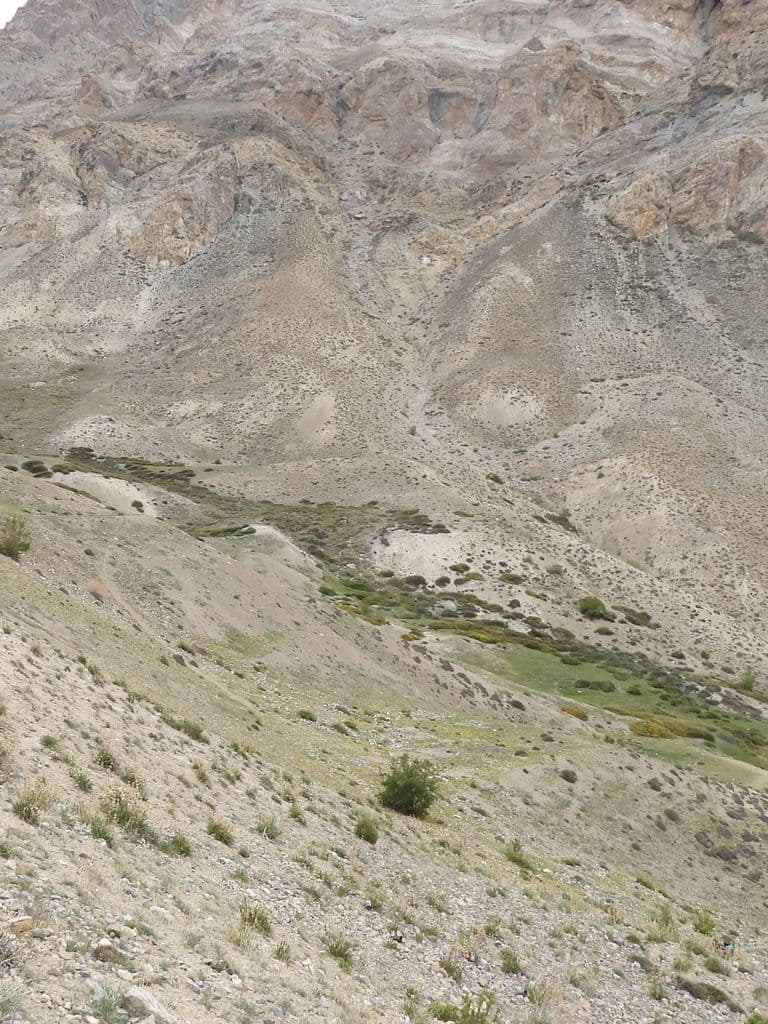 urgyan_rzong_15.jpg
