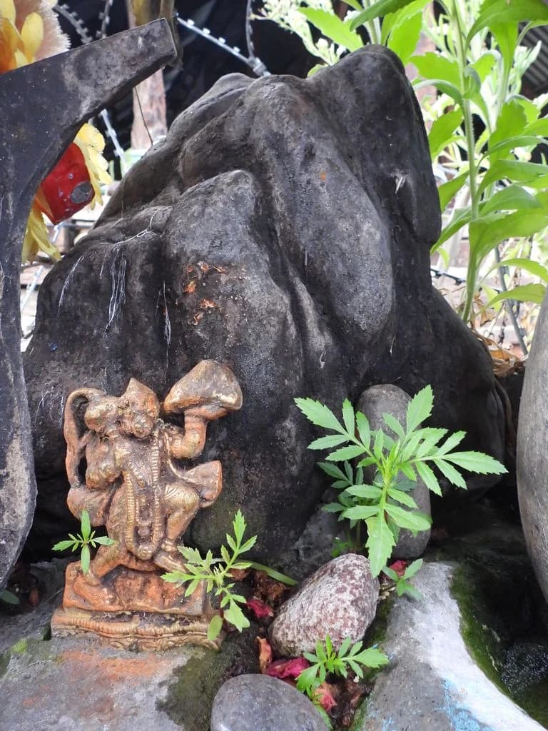 chingam_bala_ashtabhuja_mata_9.jpg