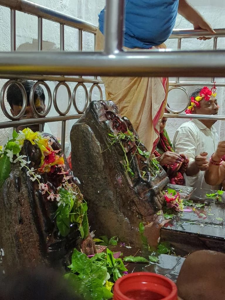 devghar-baba-vaidyanath-jyotirlinga-mandir_10.jpg