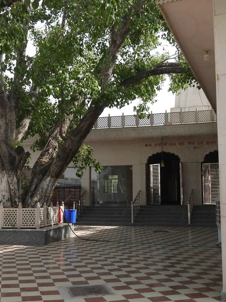 gurugram_bhisham_das_mandir_2.jpg