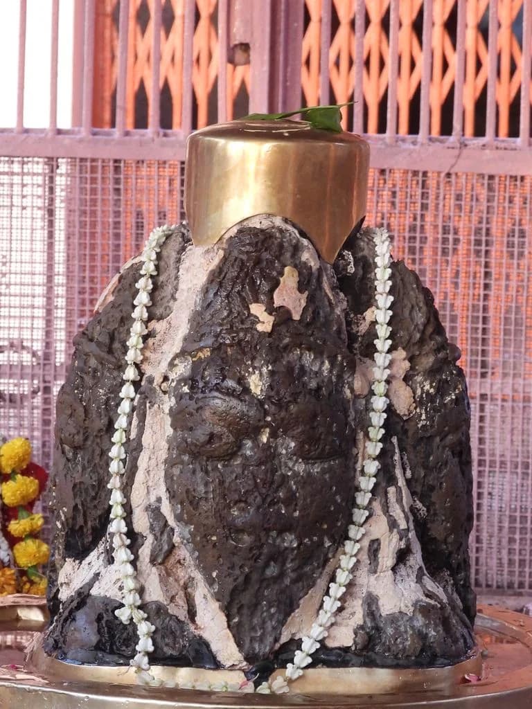 jaipur_balaji_hanuman_mandir_16.jpg