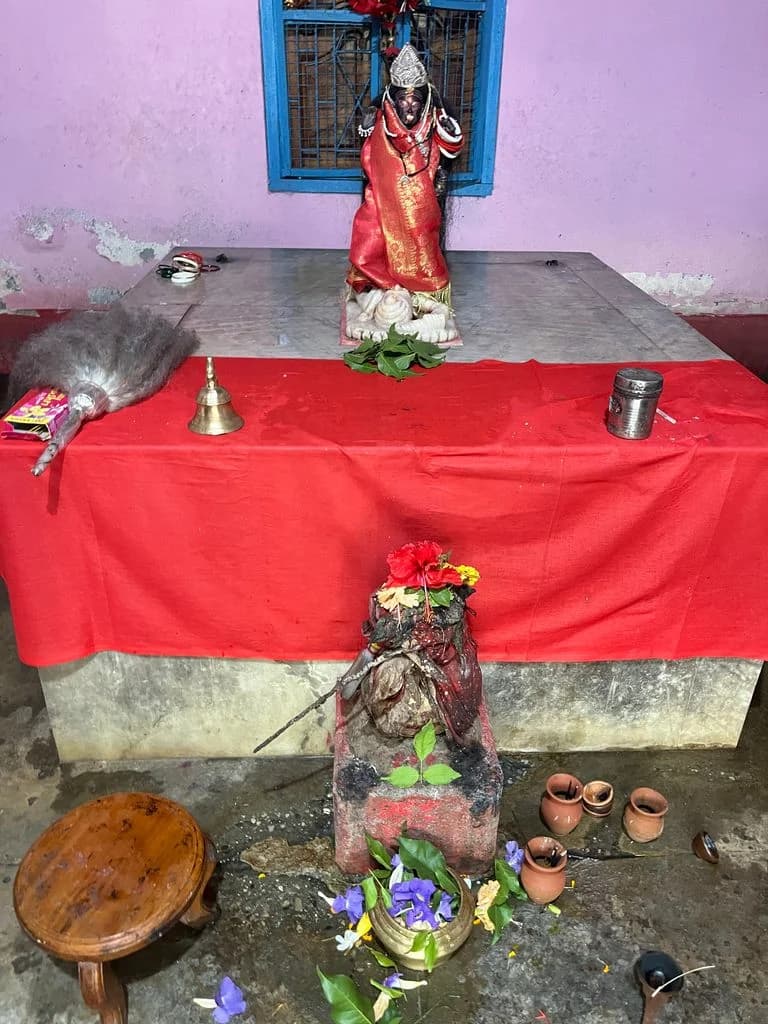 jalpaiguri_jalpeshwar_mahadev_mandir_6.jpg