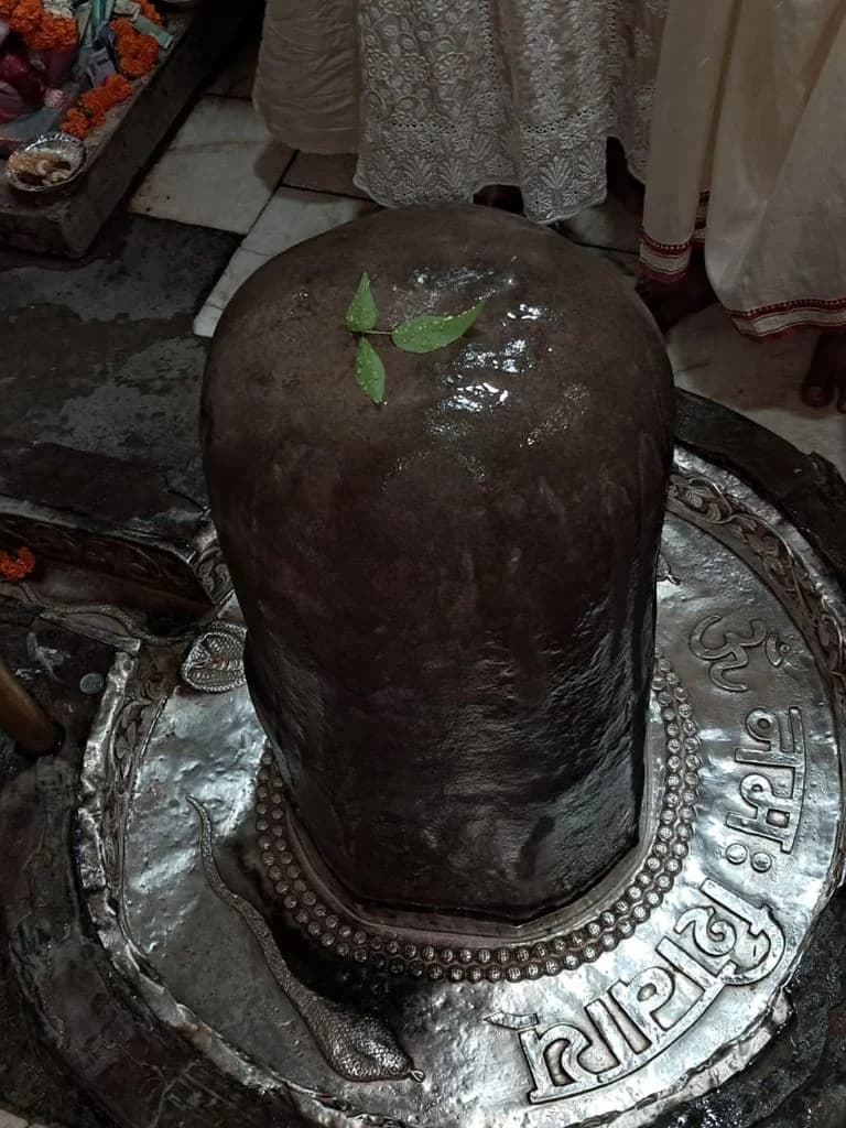 paniwala_adi_badri_shiva_mandir_2.jpg