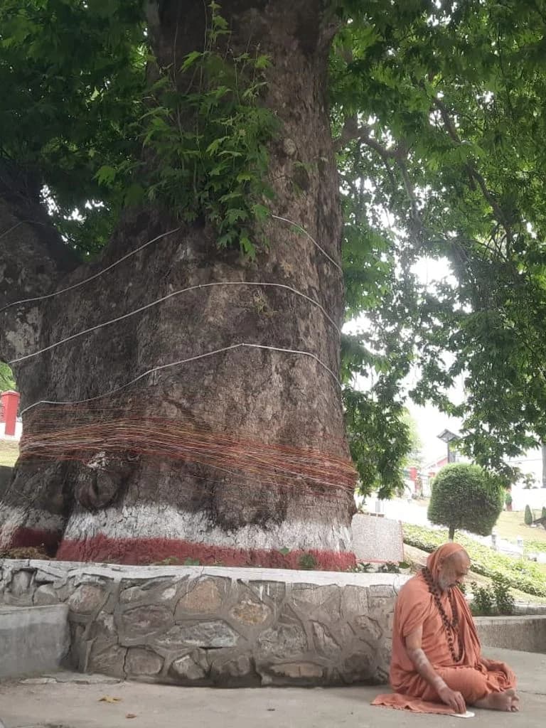 srinagar_pandrethan_mahadev_mandir_9.jpg