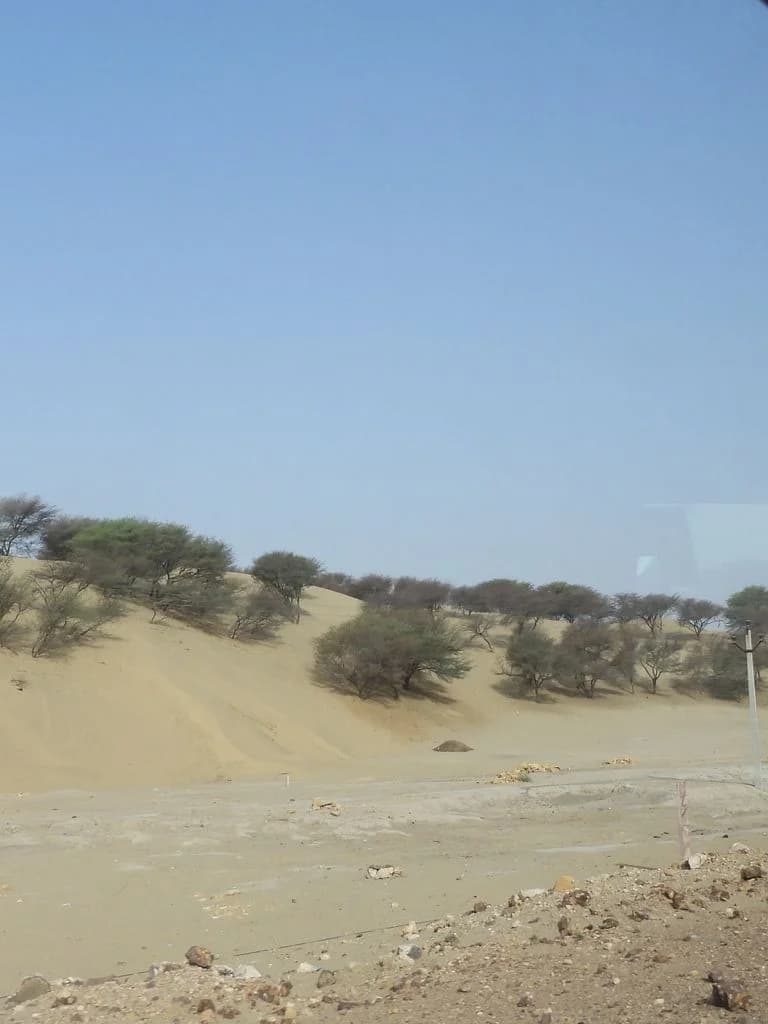 Shri Tanot Mata Mandir - Tanot